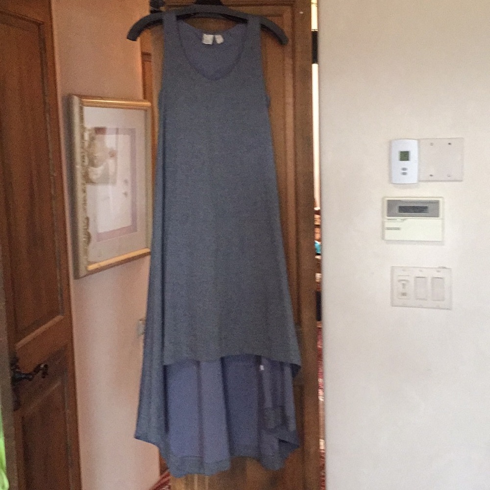 Eileen Fisher Project Hi Lo Chambray dress